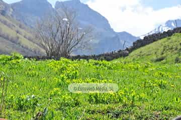 PR AS-15.1. Ruta Lago del Valle