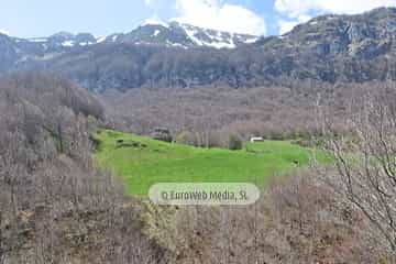 PR AS-15.1. Ruta Lago del Valle