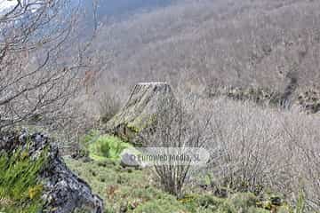 PR AS-15.1. Ruta Lago del Valle