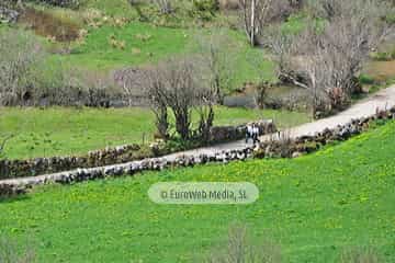 PR AS-15.1. Ruta Lago del Valle