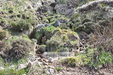PR AS-15.1. Ruta Lago del Valle
