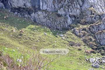 PR AS-15.1. Ruta Lago del Valle