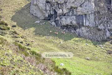 PR AS-15.1. Ruta Lago del Valle