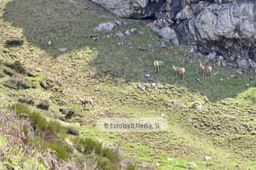 PR AS-15.1. Ruta Lago del Valle