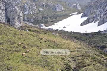 PR AS-15.1. Ruta Lago del Valle