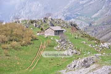 PR AS-15.1. Ruta Lago del Valle