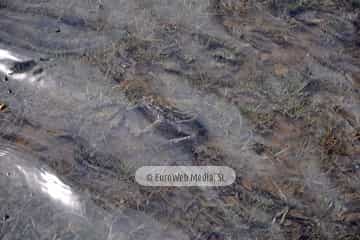 PR AS-15.1. Ruta Lago del Valle