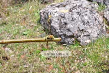 PR AS-15.1. Ruta Lago del Valle