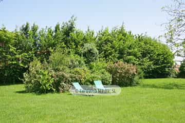 Quinta de Villanueva