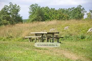 Senda Norte. Concejo de Carreño