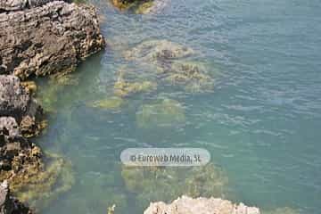 Senda Norte. Concejo de Carreño