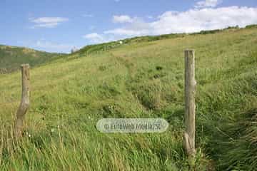 Senda Norte. Concejo de Carreño