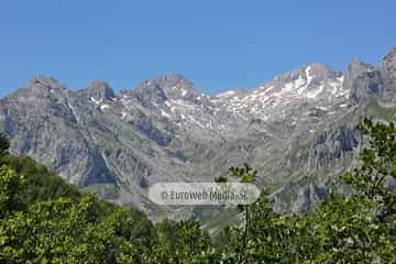 Parque Nacional de los Picos de Europa (Cabrales). Parque Nacional de los Picos de Europa en Cabrales