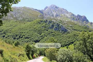 Parque Nacional de los Picos de Europa (Cabrales). Parque Nacional de los Picos de Europa en Cabrales