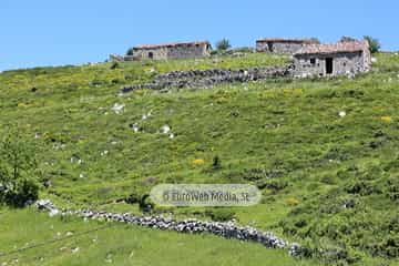 Parque Nacional de los Picos de Europa (Cabrales). Parque Nacional de los Picos de Europa en Cabrales