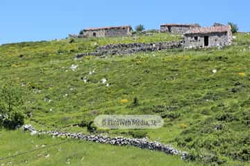 Parque Nacional de los Picos de Europa (Cabrales). Parque Nacional de los Picos de Europa en Cabrales