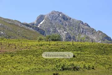 Parque Nacional de los Picos de Europa (Cabrales). Parque Nacional de los Picos de Europa en Cabrales