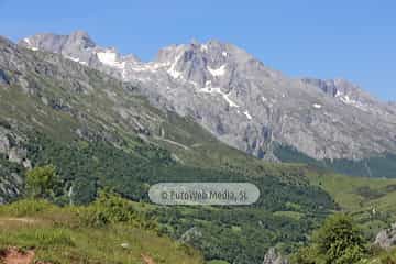 Parque Nacional de los Picos de Europa (Cabrales). Parque Nacional de los Picos de Europa en Cabrales