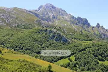 Parque Nacional de los Picos de Europa (Cabrales). Parque Nacional de los Picos de Europa en Cabrales