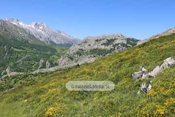 Parque Nacional de los Picos de Europa (Cabrales). Parque Nacional de los Picos de Europa en Cabrales