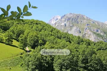 Parque Nacional de los Picos de Europa (Cabrales). Parque Nacional de los Picos de Europa en Cabrales