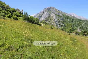 Parque Nacional de los Picos de Europa (Cabrales). Parque Nacional de los Picos de Europa en Cabrales