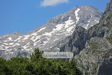 Parque Nacional de los Picos de Europa (Cabrales). Parque Nacional de los Picos de Europa en Cabrales