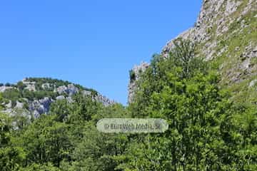 Parque Nacional de los Picos de Europa (Cabrales). Parque Nacional de los Picos de Europa en Cabrales