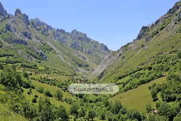 Parque Nacional de los Picos de Europa (Cabrales). Parque Nacional de los Picos de Europa en Cabrales