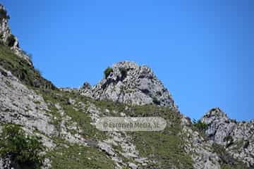 Parque Nacional de los Picos de Europa (Cabrales). Parque Nacional de los Picos de Europa en Cabrales