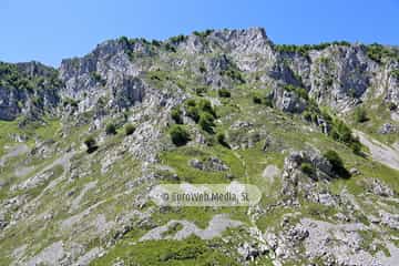 Parque Nacional de los Picos de Europa (Cabrales). Parque Nacional de los Picos de Europa en Cabrales