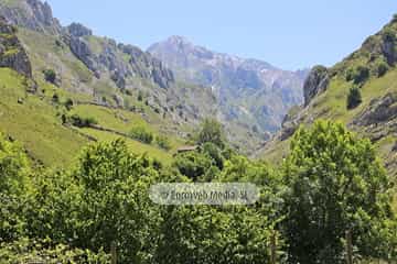 Parque Nacional de los Picos de Europa (Cabrales). Parque Nacional de los Picos de Europa en Cabrales