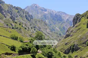 Parque Nacional de los Picos de Europa (Cabrales). Parque Nacional de los Picos de Europa en Cabrales