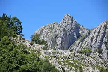 Parque Nacional de los Picos de Europa (Cabrales). Parque Nacional de los Picos de Europa en Cabrales