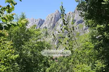 Parque Nacional de los Picos de Europa (Cabrales). Parque Nacional de los Picos de Europa en Cabrales