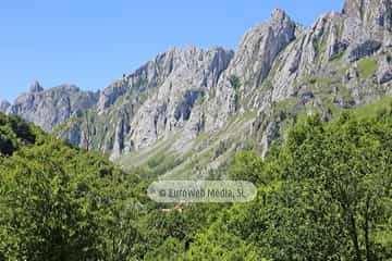 Parque Nacional de los Picos de Europa (Cabrales). Parque Nacional de los Picos de Europa en Cabrales