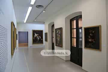Museo de Bellas Artes de Asturias