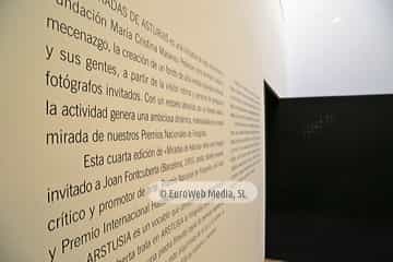 Museo de Bellas Artes de Asturias