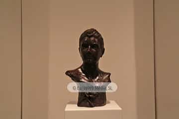 Museo de Bellas Artes de Asturias