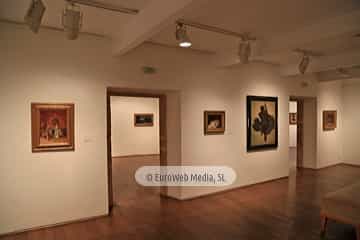 Museo de Bellas Artes de Asturias