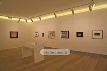 Museo de Bellas Artes de Asturias