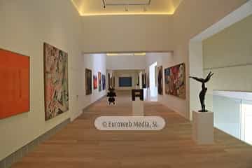 Museo de Bellas Artes de Asturias