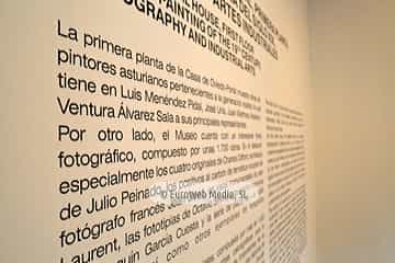 Museo de Bellas Artes de Asturias
