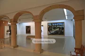 Museo de Bellas Artes de Asturias