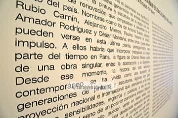 Museo de Bellas Artes de Asturias