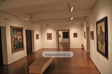 Museo de Bellas Artes de Asturias