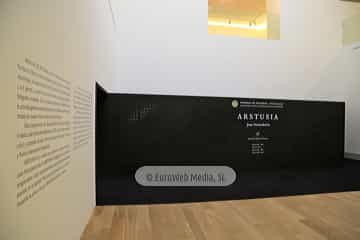 Museo de Bellas Artes de Asturias