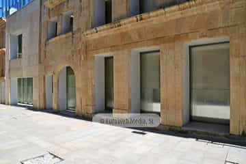 Museo de Bellas Artes de Asturias