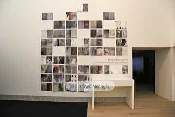 Museo de Bellas Artes de Asturias