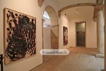 Museo de Bellas Artes de Asturias